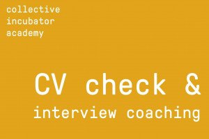CI Academy - CV check & interview coaching